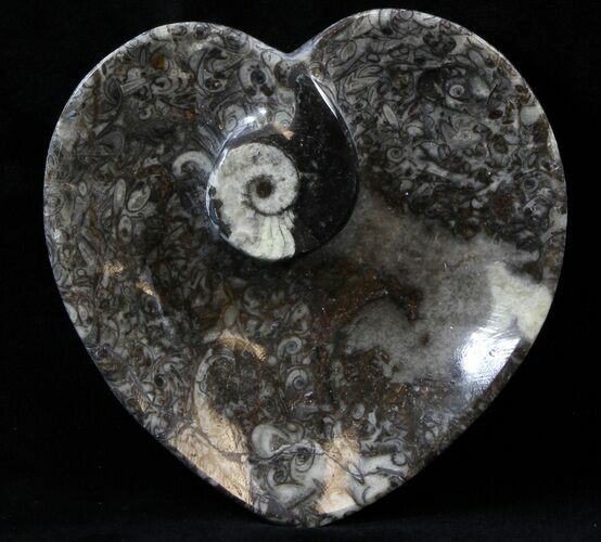 Heart Shaped Fossil Goniatite Dish #39311